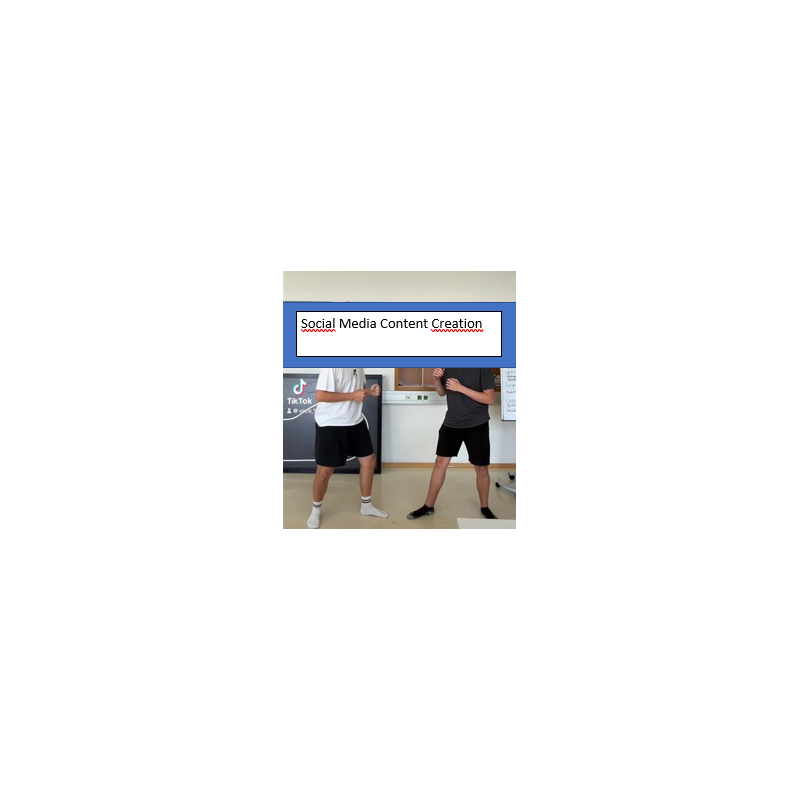 TikTokVideo