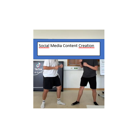 TikTokVideo